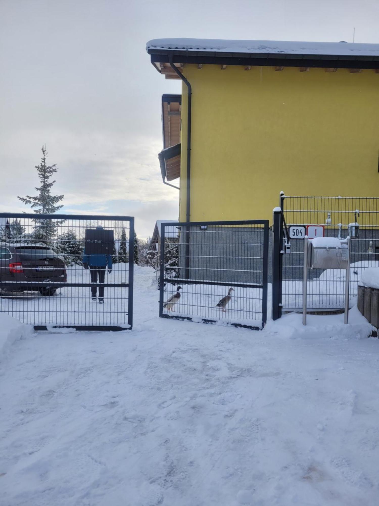 APARTMENT PRIVAT LUNA - Vysoké Tatry Nová Lesná Kültér fotó